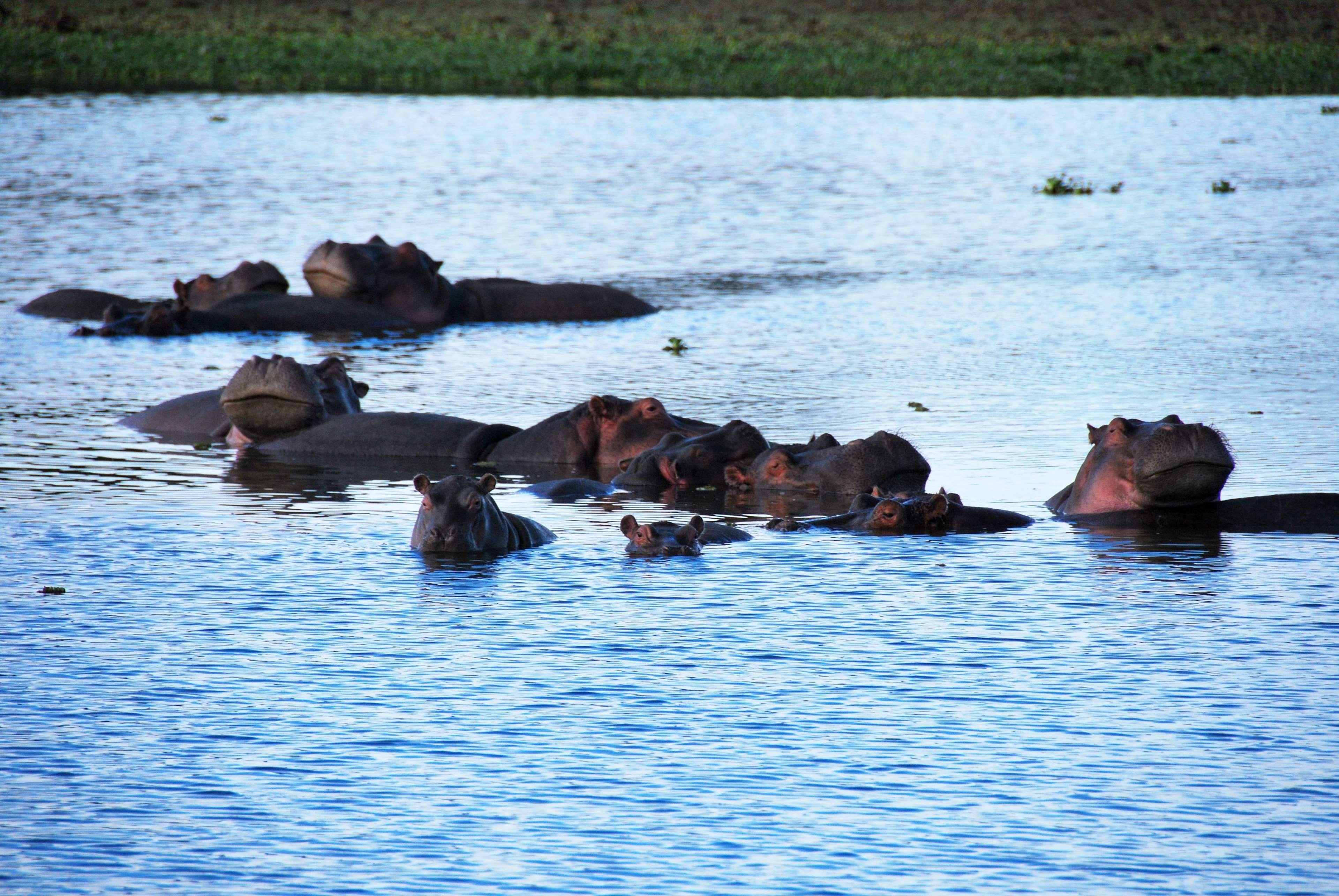 Muthu Lake Naivasha Country Club, Naivasha Karagite Buitenkant foto